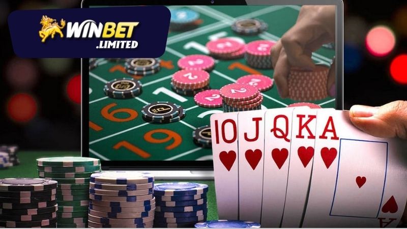 Tại sao cần tìm hiểu lịch sử hình thành và phát triển của Winbet