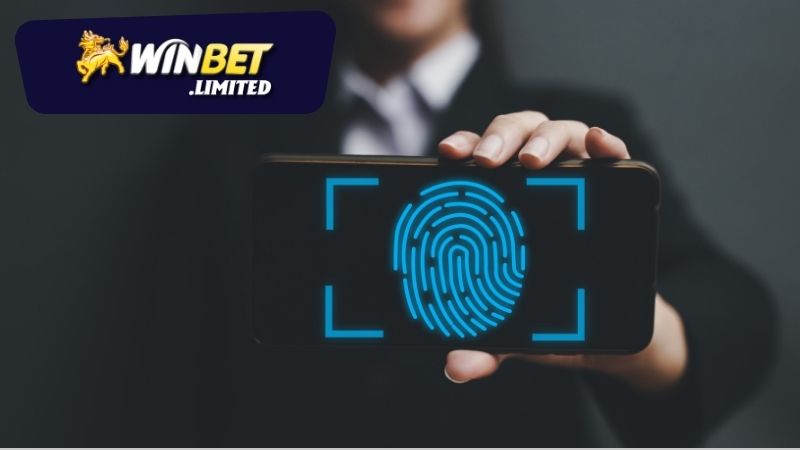 Quy Trình Xác Minh Tài Khoản Tại Winbet