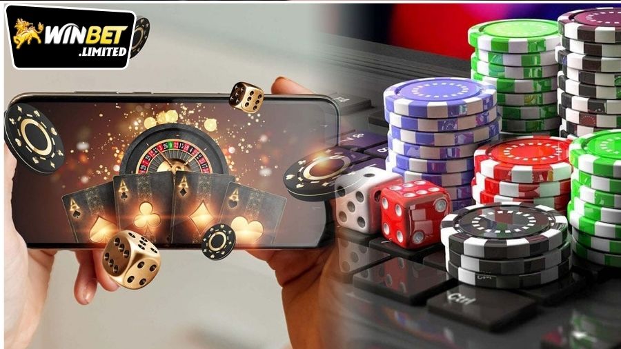 Các phản hồi tích cực từ cộng đồng người chơi về Winbet